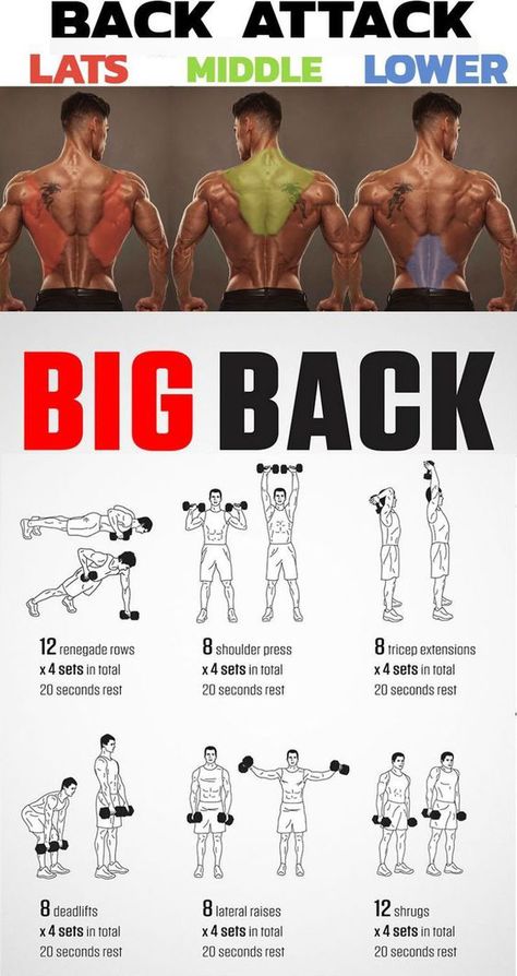 Wings Workout, Back Workout Men, Perut Six Pack, Exercises For Men, Home Workout Men, Latihan Dada, Shoulder Exercises, Gym Antrenmanları, Six Pack Abs Workout