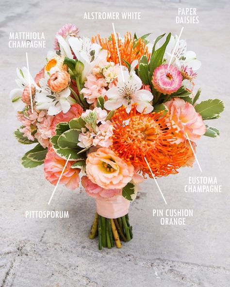 Floral Bouquet Recipes by Colour centres de tables September Wedding Bouquets Simple, Wedding Bouquets Orange, Bouquet Reference, Bouquet Recipes, Coral Bouquet, Flower Recipe, Pincushion Flower, Bouquet Recipe, Traditional Flowers