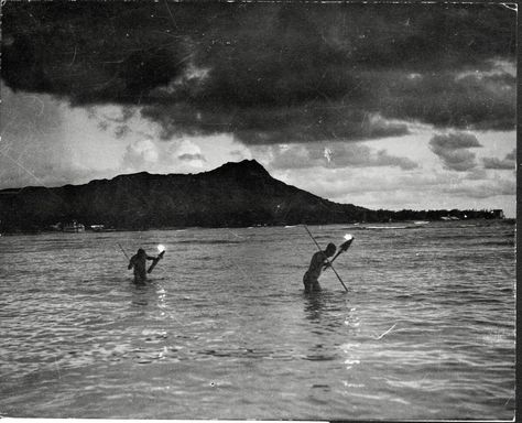 Hawaiian Night Fishing Waikiki Honolulu Hawaii Old Hawaii, Honolulu Waikiki, Hawaii Homes, Hawaiian Culture, Night Fishing, Vintage Hawaii, Honolulu Hawaii, Photo Archive, Honolulu