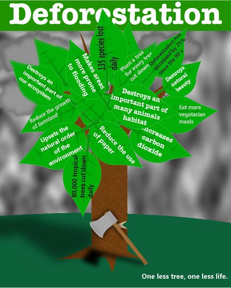 Deforestation is quite a problem today, with nearly 80,000 tropical trees cut down daily. However there are some solution that can reduce this number a great amount... Science Tlm, Deforestation Facts, What Is Deforestation, Deforestation Poster, Stop Deforestation, Environmental Science Major, Homework Hacks, Teaching Sound, Science Fair Board