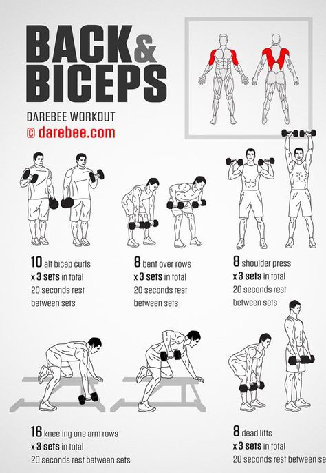 Bicep Workout For Men, Back And Bicep Workout Gym, Mens Bicep Workout, Bicep Workout Gym, Lichaamsgewicht Training, Back Workout Men, Back And Bicep Workout, Workout Gym Routine, Latihan Dada