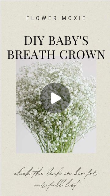 Flower Moxie on Instagram: "Let’s make a classic Baby’s Breath Crown! This quick tutorial only takes around 10 minutes to make and you can use any baby’s breath scraps on hand! Typically, you’ll only need about 2 stems of Baby’s Breath to bring this halo to life 🤩  #babysbreath #babysbreathcrown #flowergirl #diyflowergirlcrown #diywedding #flowermoxie #dogflowers #dogflowercrown" Babys Breath Flower Crowns, Baby’s Breath Flower Hair, Baby Breath In Hair, Baby Breath Crown, Diy Flower Crown Tutorial, Flower Crown Tutorial, Baby Breath Flower Crown, Flower Moxie, How To Make Garland