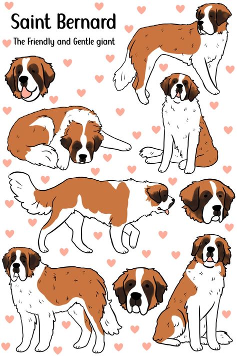 Saint Bernard Drawing Cartoon, Saint Bernard Sketch, Saint Bernard Fursona, How To Draw A Saint Bernard, Dog Saint Bernard, St Bernard Illustration, Saint Bernard Tattoo Ideas, Saint Bernard Illustration, Saint Bernard Art