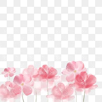 Pink Flowers Drawing, Pink Pattern Background, Branch Watercolor, Pink Flowers Background, Rosé Png, White Rose Flower, Png Flower, Romantic Background, Flower Outline