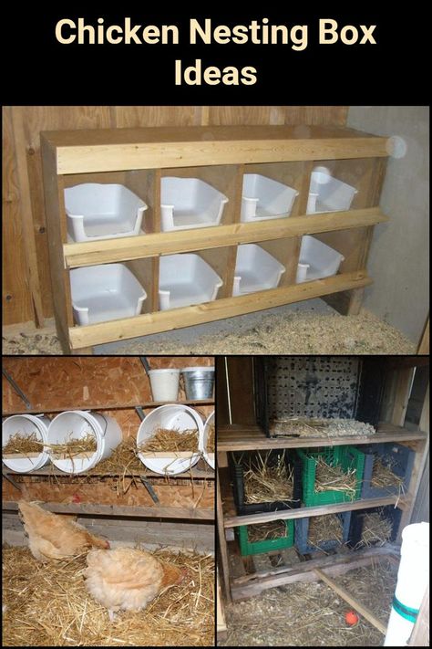 Chicken Nesting Box Ideas, Nesting Box Ideas, Chicken Laying Boxes, Nesting Boxes Diy, Chicken Boxes, Nest Boxes, 5 Gallon Buckets, Chicken Nesting Boxes, Chicken Coup