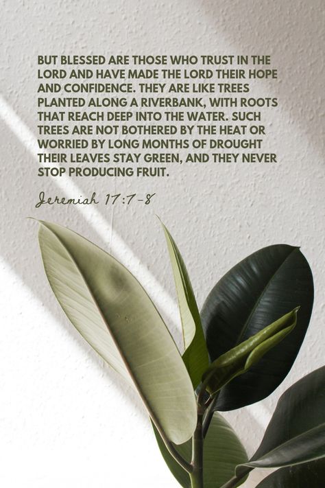 Jeremiah 17 5-8, Jeremiah 17 7-8 Scriptures, Jeremiah 17 7-8 Wallpaper, Jeremiah 17 7-8, Jeremiah Scripture, Aesthetic Scripture, Jeremiah 17:14, Jeremiah 17 7, Life Verse