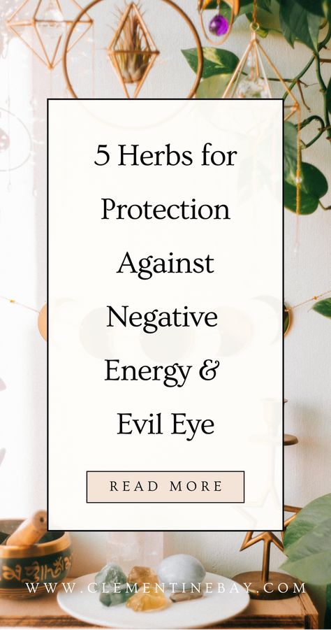 These 5 herbs for protection can be used to protect against and banish negative energy. Learn the 5 simple ways in which you can use these herbs in energy cleansing and protection rituals to protect your energy, remove evil eye and negative energy in general. | Witchcraft for beginners | Witch tips | Spiritual protection Protection Witchcraft, Protection Rituals, Banish Negative Energy, Herbs For Protection, Protection Against Negative Energy, Witchcraft 101, Witchcraft Herbs, Witchcraft Altar, Witch Tips