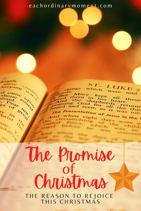 Have you noticed the many warm, sentimental words sprinkled around at Christmastime? We see glittery signs declaring "Believe!", sparkling ornaments embossed with the words Joy, Peace, and Faith. Cheerful Christmas music plays everywhere. But what does it all mean? Christmas is about the fulfillment of God's promises and the renewal of hope that the promises yet unfulfilled will come to pass. Christmas Devotions, What Does Christmas Mean, Quiet Christmas, Biblical Christmas, Nativity Ideas, Christmas Devotional, Hope Christmas, Christmas Service, Word Joy