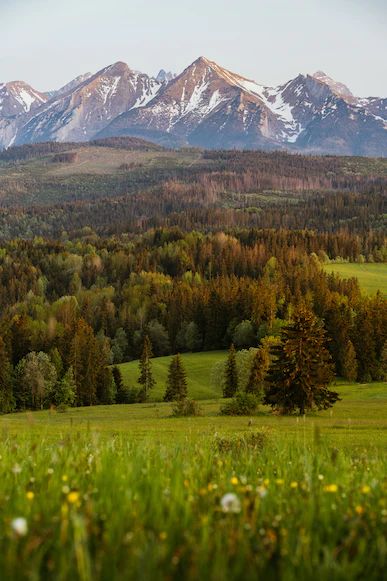 Poland Landscape, Grass Background, Mountain Images, Tatra Mountains, Sunset Images, Mountain Sunset, Grey Wallpaper, Mountain Range, Scenery Wallpaper