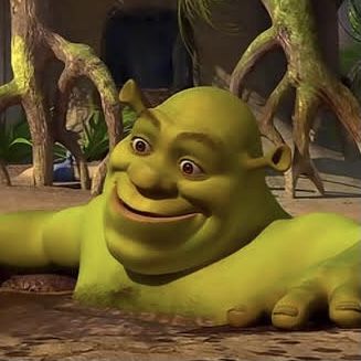 Shrek Funny, Shrek Memes, Funny Pix, Snapchat Funny, Funny Profile Pictures, Cute Memes, Funny Reaction Pictures, 10 Seconds, Shrek