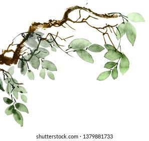 Tree Branch With Leaves, Tree Branch Tattoo, Watercolor And Ink Illustration, Tree Branch Art, Branch Drawing, Vine Drawing, Illustration Tree, Painted Branches, Branch With Leaves