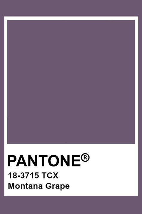 Pantone Montana Grape Montana Grape Aesthetic, Montana Grape Color, Montana Grape, Plum Paint Colors, Pantone Tcx, Pantone Color Chart, Pantone Swatches, Pantone Palette, Pantone Colour Palettes