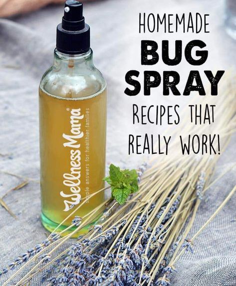 Homemade Bug Spray Recipe, Homemade Bug Spray, Diy Bug Spray, Bug Spray Recipe, Natural Bug Spray, Natural Bug Repellent, Wellness Mama, Bug Spray, Bug Repellent