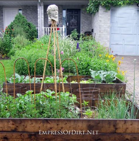 Grow a Front Yard Vegetable Garden With Flowers Kebun Herbal, Raised Vegetable Gardens, Front Gardens, Potager Garden, Vegetable Gardens, Veg Garden, Vegetable Garden Design, Front Yard Garden, City Garden