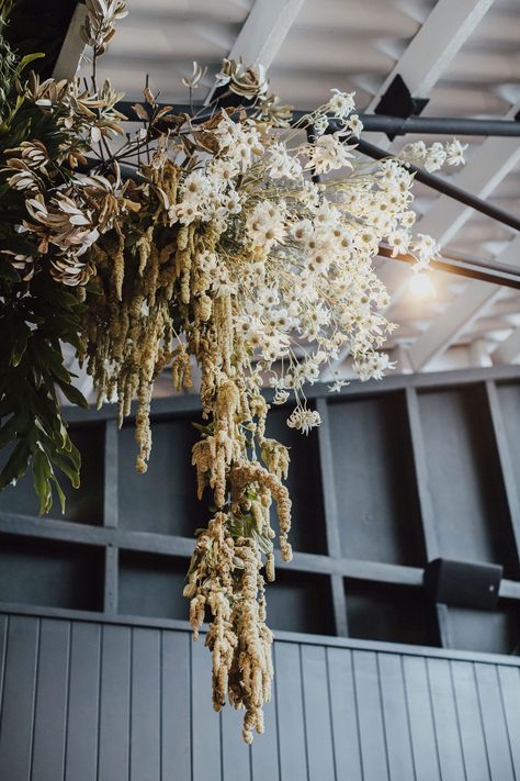 Dried Flower Hanging Rack, Dried Flower Window Display, Dried Flower Installation, Hanging Floral Installation, Hanging Flowers Wedding, Floral Cloud, The Refinery, Floral Installation, Flower Hanging