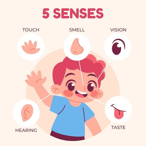 Free vector hand drawn 5 senses illustra... | Free Vector #Freepik #freevector #five-senses #senses #nose #eye-illustration 5 Senses Illustration, Senses Illustration, Eye Illustration, 5 Senses, Alphabet Activities, Vector Hand, Character Illustration, Graphic Resources, Hand Drawn