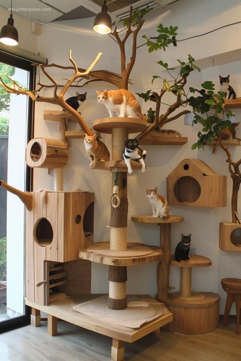 Cat In The House, Cat Wall Inspiration, House Cat Ideas, Cat Room Decor Ideas, Cat Friendly Furniture, Cat Cafe Design, Cat Cafe Interior Design, Cat Room Aesthetic, Cat Cafe Ideas