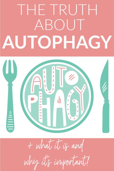 What is autophagy, and what does it do for us? Today, I’m sharing the science on this process of “cellular-recycling,” including what causes it, why it is important, and how we can potentially induce autophagy ourselves. Proponents of fasting say that fasting induces autophagy, so today we are taking a look at what the research has to say! Autophagy Fasting Before And After, Fasting For Healing, Fasting Autophagy, Intermittent Fasting Success Stories, Zombie Cells, Autophagy Fasting, What Is Autophagy, Athlete Food, Jason Fung