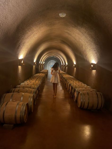 Wine Vineyard Aesthetic, Napa California Aesthetic, Napa Valley Aesthetic, Napa Aesthetic, Wine Vineyard Outfit, Winery Aesthetics, Wine Tour Bachelorette, Wine Vibes, Vineyard Aesthetic