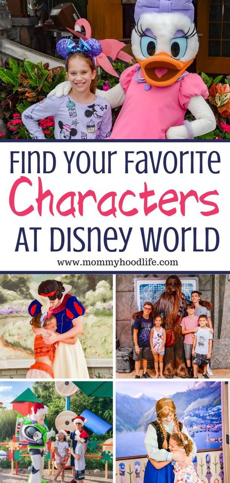 Disney Character Meet And Greet List, Character Meet And Greet Disney World, Disney Meet And Greet Characters, Disney Parks Characters, Disney World Character Meet And Greet, Disney Character Meet And Greet, Disneyland Trip Planning, 2024 Planning, Character Info