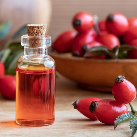 Jojoba Oil Skin, Rosehip Oil Benefits, Jojoba Oil Benefits, Diy Lip Balm Recipes, Stretch Mark Remedies, Lip Balm Recipes, Rosehip Seed Oil, Diy Lips, Infused Oils