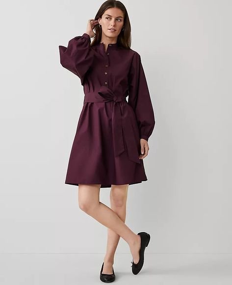 829039 Fall Shift Dress, Casual Business Dresses, Ann Taylor Outfits, Winter Dresses For Work, Ann Taylor Outfit, Plus Size Work Dresses, Loft Outfits, Office Attire Women, Cute Professional Outfits