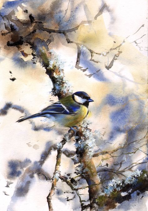 In Conversation with LUCY NEWTON Bird Artists, Bird Watercolor Paintings, Winter Watercolor, Scenery Paintings, Scottish Artists, Wildlife Paintings, Nature Artwork, Wildlife Artists, Beautiful Sunrise