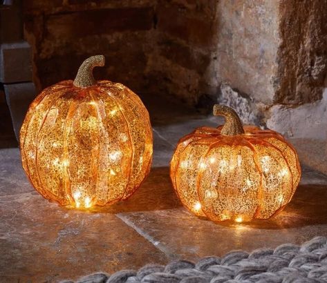 ✨🎃 Last year's best seller is back in two stunning designs! Our Light Up LED Pumpkin Orange Ornaments are perfect for adding a warm, festive glow to your Halloween setup. 🧡 Limited stock – don’t miss out on this must-have seasonal décor! . . . . . . . #halloweendecor #Halloween #halloween #Halloween2024 #halloweenparty #HalloweenDecor #halloweendecor #autumn #autumn #autumnvibes #autumnvibes #autumnvibes🍁 #autumnmood #autumnstyle #autumncolors #autumnleaves #LED #ledlights #lightup #pumpkin... Mercury Black, Orange Ornaments, Cactus Candles, Light Up Pumpkins, Pumpkin Lantern, Black Pumpkin, Outdoor Mirror, Smart Garden, Fall Garland