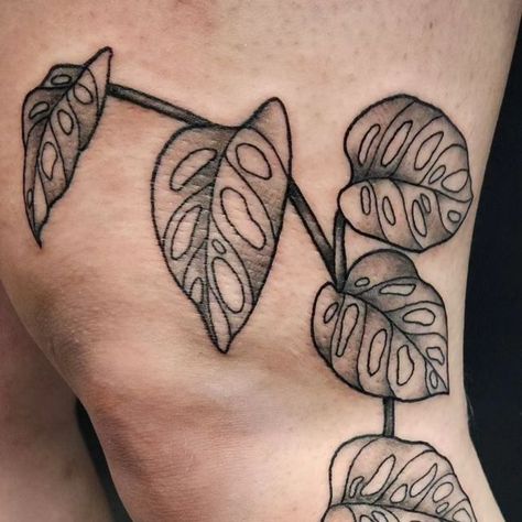 Monstera Adansonii, Tattoo Apprentice, March 3, Message Me, Nature Art, Body Art, Tattoos, On Instagram, Instagram