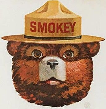 Smoky The Bear Poster, Vintage Smokey Bear, Vintage Smokey The Bear Poster, Smokey The Bear Aesthetic, Smokey The Bear Painting, Smokey The Bear Drawing, Smokey Bear Art, Smokey The Bear Art, Vintage Smokey The Bear