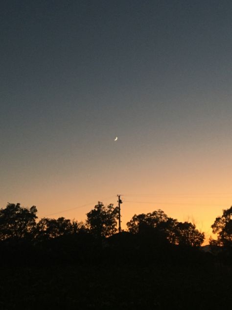 Moments Aesthetic, Sunset Shadow, Aesthetic Shadow, Shadow Tree, Moon Sunset, Momento Mori, Aesthetic Sky, Photography Sunset, Moon Photography