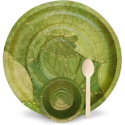 Sal Leaf Plates, Authentic Meals, Food Varieties, Nature Party, Indian Cooking Recipes, Restaurant Ideas, Cold Food, Leaf Plates, Party Kits