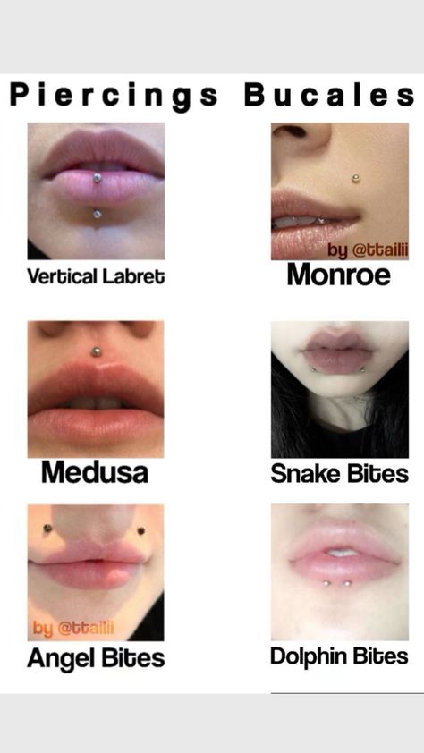 Lip piercing types for girls Piercing Types, Lip Piercing Jewelry, Best Friend Match, Face Piercings, Piercings For Girls, Cool Piercings, Facial Piercings, Cute Piercings, Types Of Piercings