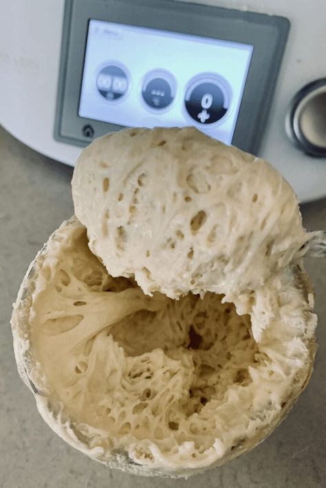 The Pantry Mama, Pantry Mama, Bread Proofer, Fermented Bread, Sourdough Bread Starter, Sourdough Starter Discard Recipe, Bread Starter, Sour Dough, Sourdough Baking