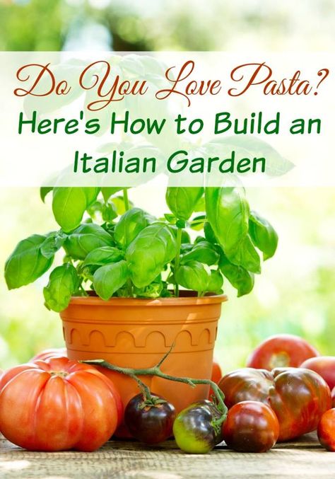 How To Grow An Italian Garden. Love pizza or Italian food? Imagine that you made them with fresh organic vegetables & herbs right from your own garden! growing herbs, container herb garden, DIY garden projects What To Do With Herbs From Garden, Cooking Herbs Garden, Italian Herb Garden, Terra Cotta Herb Garden, Herbs In Clay Pots, Backyard Bohemian, Gardening Tomatoes, Garden 101, Herb Garden Pallet