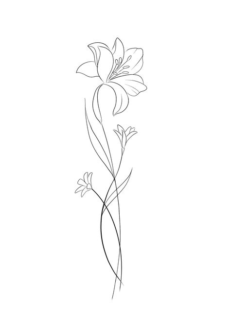 Simple Line Lily Tattoo, Daffodil Tattoo Drawing, Inside Elbow Tattoos For Women Words, Lily Tatoos Small, Lily Flower Spine Tattoo, Tiger Lily Drawing Simple, Tattoos Back Spine, Lily Tattoo Drawing, Shoulder Tattoo Fine Line