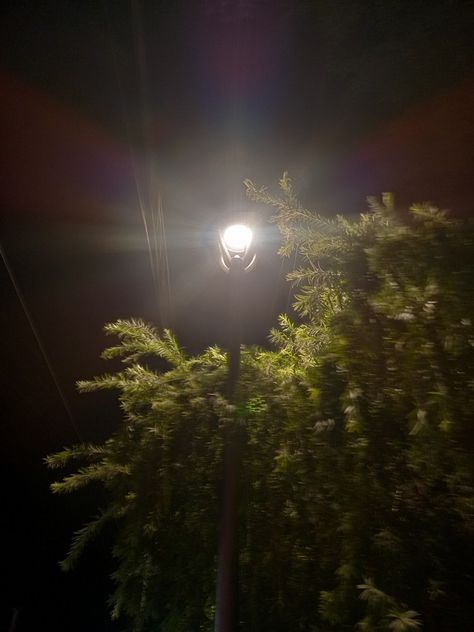 Street lamp # aesthetic #night #nightlamp #streetlamp Street Lamp Aesthetic, Lamp Aesthetic, Sky Photography Nature, Street Lamp, Night Lamps, Street Light, Photography Nature, Sky Photography, Firefly