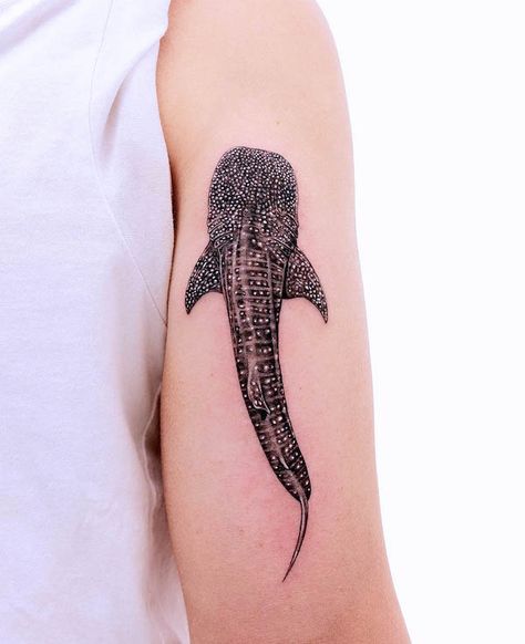 56 Captivating Shark Tattoos With Meaning - Our Mindful Life Thigh Whale Tattoo, Whale Shark Tattoo Meaning, Whale Shark Back Tattoo, Unique Shark Tattoo, Basking Shark Tattoo, Small Whale Shark Tattoo, Shark Whale Tattoo, Realistic Shark Tattoo, Whale Shark Tattoo Design