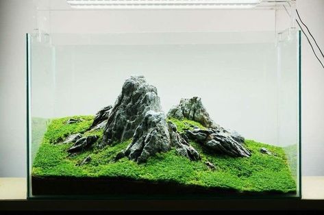 Iwagumi Style Aquascape , Amazing Iwagumi Aquascape , Nano Aquarium , Iwagumi Layout , Iwagumi Takashi amano , Iwagumi cube tank denerle , iwagumi rock , iwagumi plants , iwagumi stone Aquascaping Ideas, Aquascape Design, Fish Tank Design, Indoor Water Garden, Nano Aquarium, Shrimp Tank, Aquarium Landscape, Nature Aquarium, Aquascape Aquarium