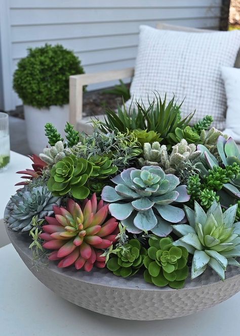 The perfect example of artificial potted succulent plants, this faux succulent arrangement in an attractive grey textured bowl is a luxury piece that brings elevated style to your interior design. Showcase it on a table, and let the garden-inspired design of colorful, assorted life-like fake succulents be the center of attention. Whether you display it in your living space or your home office, this zero-maintenance plant offers lasting beauty and a permanent feeling of nature to keep your surroundings relaxing and peaceful. 13" Tall x 18" Wide Fiber Cement Bowl Planter, 6" Tall x 16" Wide 50% Polyester, 20% Plastic, 20% Pot, 10% Wire Assembled by hand This item is shipped in styrofoam that is free of CFC’s/HCFC’s chemicals and is recyclable at designated locations throughout the U.S. (chec Succulent Garden Pot, Succulent Arrangements Outdoor, Succulent Arrangements Diy, Cement Bowl, Outdoor Succulents, Succulent Bowl, Textured Bowl, Artificial Succulent Arrangements, Plant Arrangement