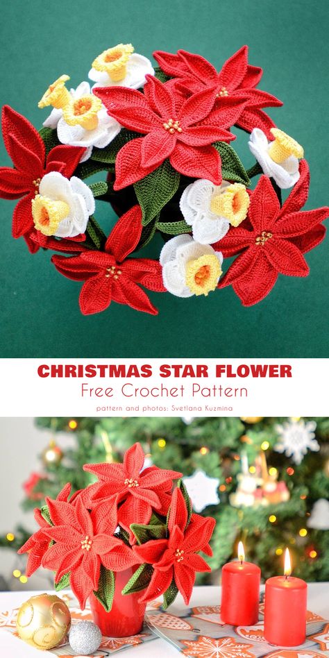 Christmas star flower free crochet pattern. Crochet Small Poinsettia Free Pattern, Crochet Christmas Flowers Free Pattern, Free Crochet Poinsettia Flower Pattern, Crochet Pointsetta Flower, Crochet Poinsettia Free Pattern Christmas Flowers, Poinsettia Crochet Pattern Free, Crochet Poinsettia Free Pattern, Christmas Star Flower, Poinsettia Crochet