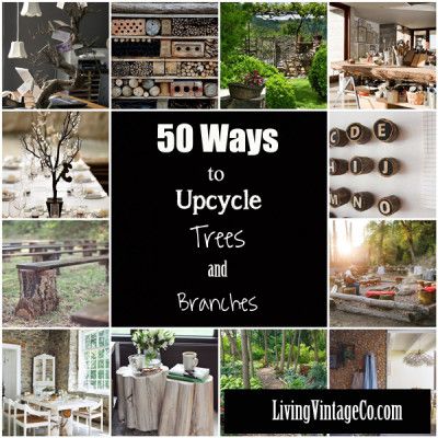 50 Ways to Upcycle Tree Branches and Logs Tree Branch Decor, Tree Logs, Branch Art, Diy Rustic Decor, Wood Branch, Living Vintage, Diy Tree, Branch Decor, Creation Deco