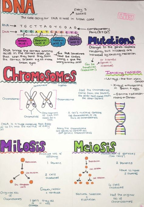 #lilysrevisionnotes #biology #gcse #cells #dna Dna Notes Biology Aesthetic, Dna Study Notes, Biology Revision Gcse Mitosis, Structure Of Dna Notes, Biology Dna Notes, A Level Biology Lipids, Crimeology Notes, Biology Notes Genetics, Higher Human Biology Notes