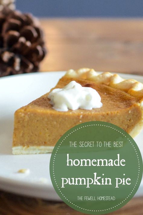 Pies For Thanksgiving, Pumpkin Pie Crust, Plate Recipes, Homemade Pies, Southern Plate, Cinderella Pumpkin, Homemade Pumpkin Pie, Pumpkin Pie Recipe, Thanksgiving Pies