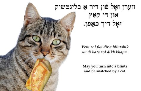 Yiddish: May you turn into a blintz and be snatched by a cat. Yiddish Quotes, Yiddish Proverb, Yiddish Words, Jewish Proverbs, Jewish Quotes, Jewish Stuff, Idioms And Proverbs, English Grammar Tenses, Jewish Learning