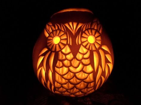 Picture of How to Carve a Pumpkin Owl Owl Pumpkin Carving, Pumpkin Owl, Owl Pumpkin, Pumkin Carving, Creative Pumpkin Carving, Amazing Pumpkin Carving, Pumpkin Uses, Pumpkin Carving Designs, Pumpkin Contest