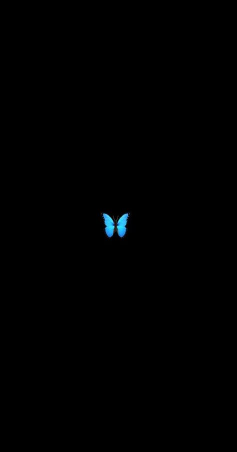 Purple Butterfly Wallpaper, Kraf Kertas, Blue Butterfly Wallpaper, Emoji Wallpaper Iphone, Glitch Wallpaper, Iphone Wallpaper Sky, Butterfly Wallpaper Iphone, Blue Wallpaper Iphone, Cute Black Wallpaper