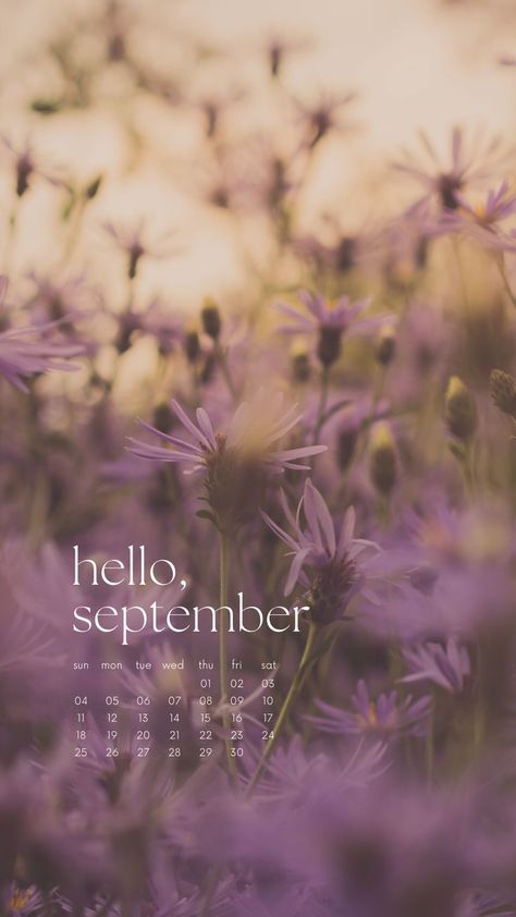 A cute calendar of september wallpaper with a purple flower field backgrounds Hello September Month, Hello September Aesthetic, September Wallpaper Iphone, Calendar Lockscreen, Hello September Quotes, Organization Calendar, Lockscreen Iphone Quotes, September Quotes, September Wallpaper