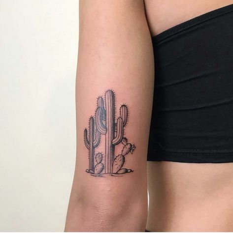 Cactus Tattoo Back Of Arm, Unique Cactus Tattoo, Palm Tree Cactus Tattoo, Cactus Garden Tattoo, Cactus Arm Tattoo, Black And White Cactus Tattoo, Realistic Cactus Tattoo, Oregon Inspired Tattoos, Western Filler Tattoo