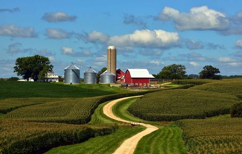 Animal Farms, John Deere Tractors Farms, Iowa Farms, Beautiful Farm, Farm Buildings, Farm Scene, Farm Barn, Fantasy Places, Red Barns